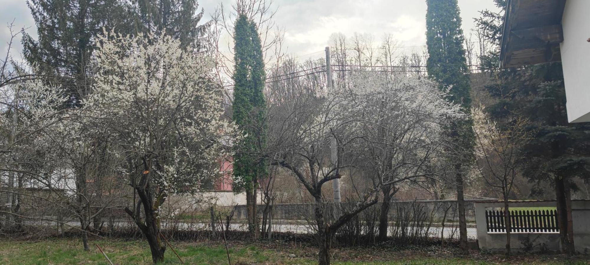 Хан Костина - Han Kostina Ribarița Exterior foto